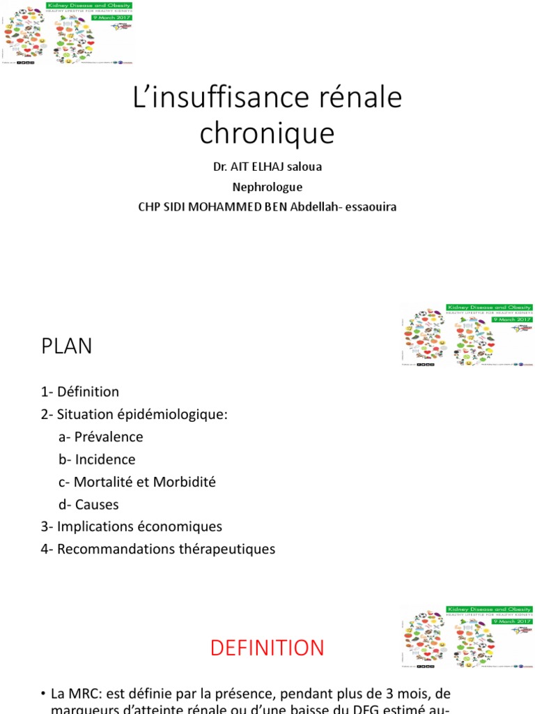 L'Insuffisance Rénale Chronique PDF Hypertension artérielle — free download