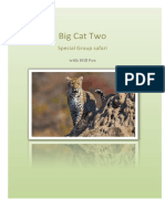 Big Cat Special Group Safari