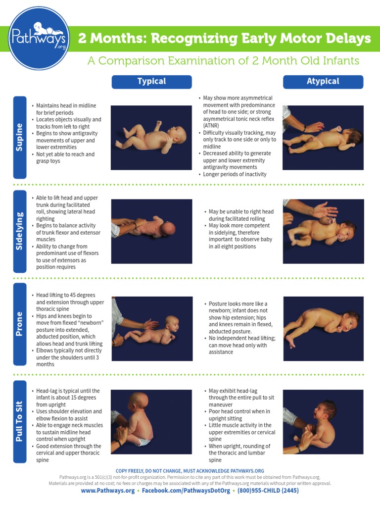 2 Months: Recognizing Early Motor Delays: A Comparison Examination of 2 ...