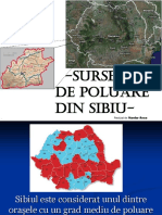 Sursele de Poluare Din Sibiu