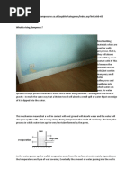 Rising Damp What Is Rising Dampness ?