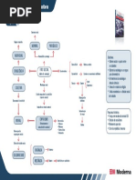 Mapas Conceituais Sociologia Capitulo 03 a Sociologia de E. Durkheim