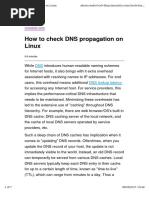 DNS Propagation Commandline