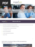 Expertum Hana Security and Authorization