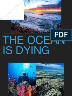Informative Speech On The Health of The Ocean (Slide Show)