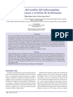 Rupturasdeltendonl PDF