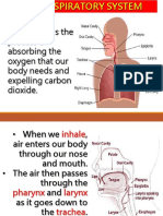 Is The Process of Absorbing The Oxygen That Our Body Needs and Expelling Carbon Dioxide