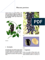 CONTROLAR PARKINSON I I-Mucuna pruriens-LEGUMINOSA.pdf