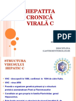 Curs Berliba HCV 2014