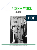 HOW GENES WORK.pdf