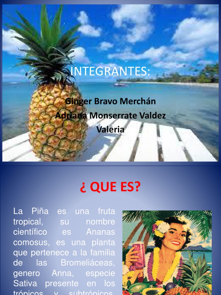 Diapositivas de La Piña | PDF | Piña | Mercado (economía)