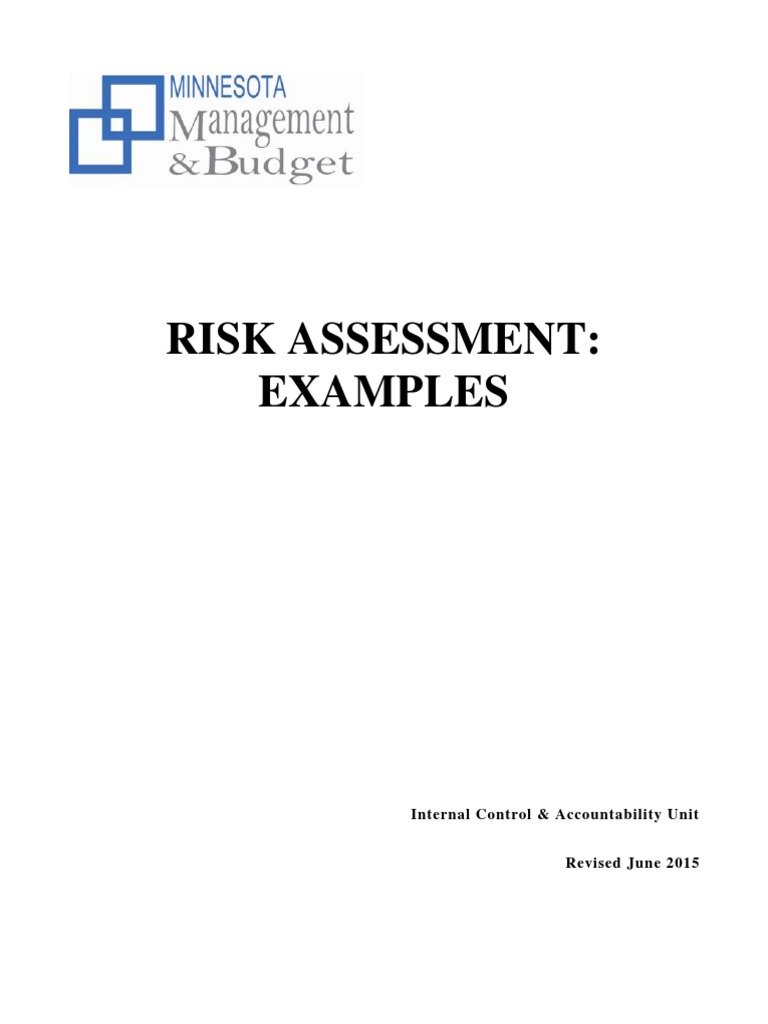 Risk Assessment Examples Guide | PDF | Request For Proposal | Risk