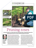 RHS Masterclass On Rose Pruning PDF