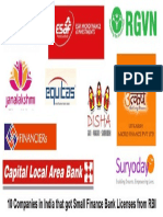The Ten Small Finance Banks in India