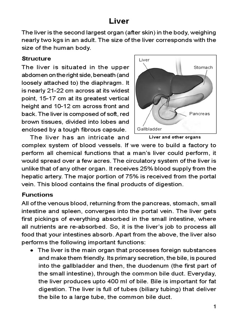 Liver Cleanse Download Free Pdf Bile Gallbladder