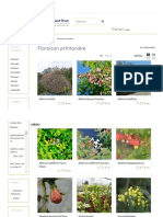 Plantes à floraison printanière - Hortimarine.pdf
