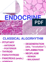 Ch24 Endocrine