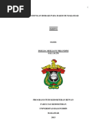 Download uji borakspdf by Agnes Dhai SN353150579 doc pdf