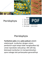 Kelompok 7 Pteridophyta