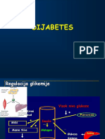 Dijabetes Melitusobolonja10