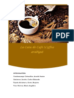 Informe de Catacion Del Café