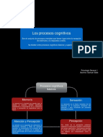 Procesos Cognitivos Basicos y Superiores