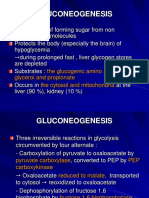 K - 5 Carbohidrate Metabolism 3