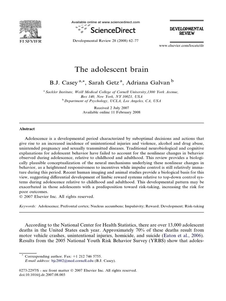 Adol Brain PDF | PDF | Prefrontal Cortex | Adolescence