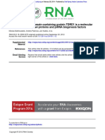 The Multiple Tudor Domain-Containing Protein TDRD1 Is A Molecular Scaffold For Mouse Piwi Proteins and PiRNA Biogenesis Factors - 2012