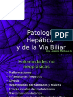 1.2. Patologia Hepatica I