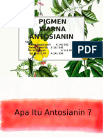 PPT Antosianin