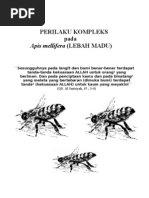 Download Lebah Madu Apis melliferaDoc by Sri Suhartini SN35321568 doc pdf