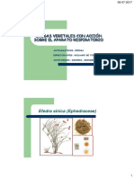 Clases Sistema Respiratorio 1