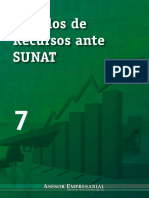 Modelo de Recursos - SUNAT.pdf