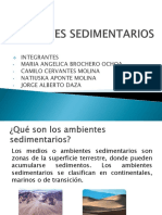 AMBIENTES SEDIMENTARIOS.pptx