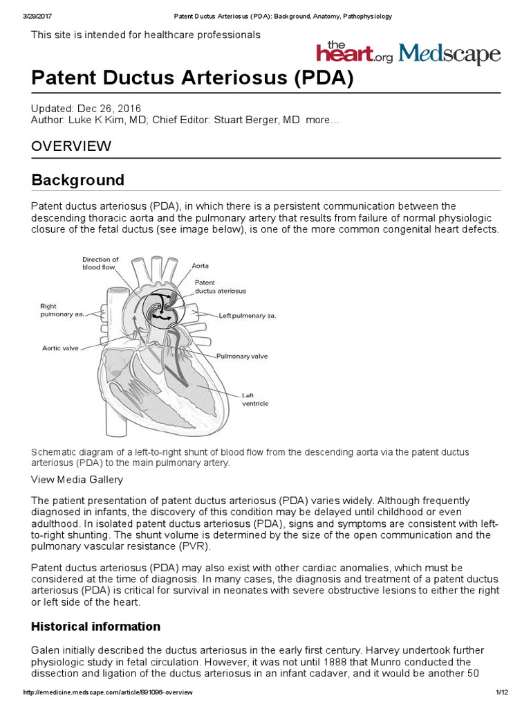 Anatomy and Pathophysiology of PDA | PDF | Aorta | Circulatory System
