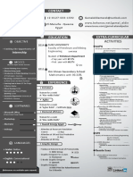 Gamal Eldien's Curriculum Vitae