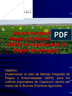 Manejo Integrado de Plagas y Enfermedades - Fundo Don Mario PDF