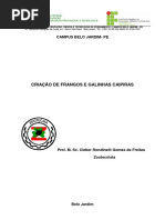 12- Criação de Frangos e Galinhas Caipiras (1)