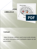 Neuropsihologia Limbajului