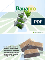 Banapro