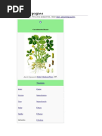 Arachis hypogaea