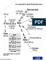 CJASN 2006 Jul 1 (4) 641-54, Figure 1