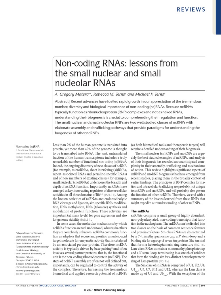 Non-Coding RNAs - Lessons From The Small Nuclear and Small Nucleolar ...