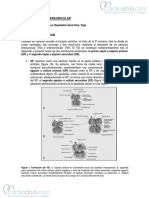 comunicacion_interauricular