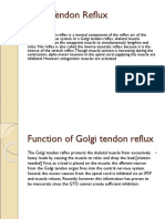 Golgi Tendon Reflux - 0