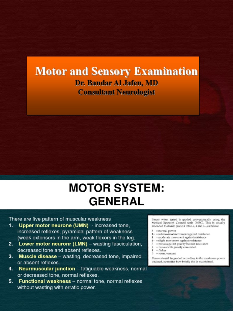 Motor and Sensory Examination Dr. Bandar Al Jafen, MD Consultant