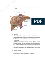 ANATOMI DAN FUNGSI ORGAN RETIKULOENDOTELIAL