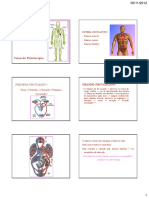 Sistema Linfatico.pdf
