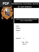 Informe Final de Investigacion de Mercados N